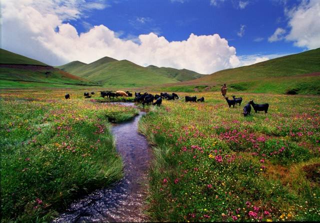 huize yunnan.jpg